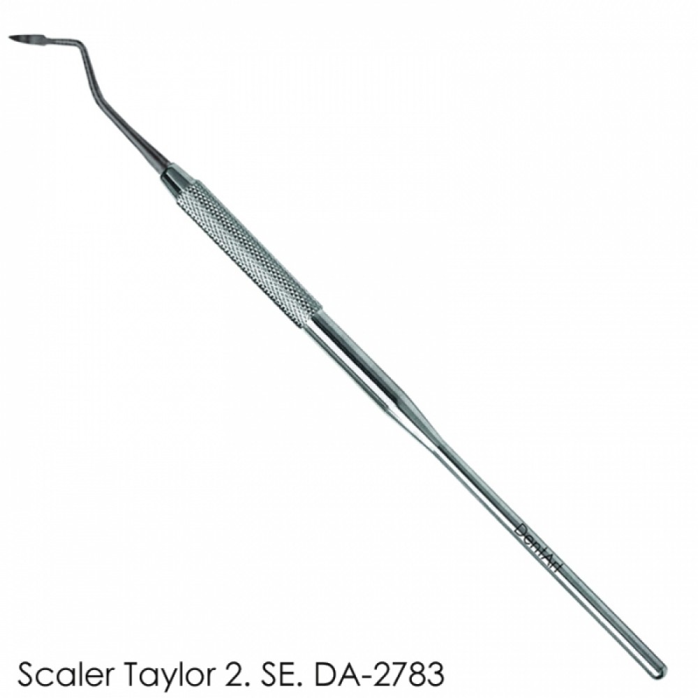 Scaler Taylor